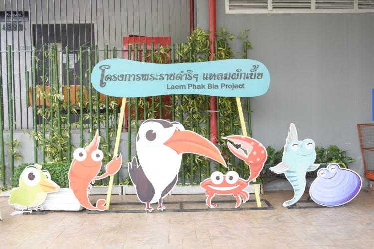 โครงการศึกษาวิจัยและพัฒนาสิ่งแวดล้อมแหลมผักเบี้ย