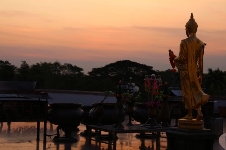 โครงการค่ายพุทธบุตร พุทธธรรม กิจกรรม 
