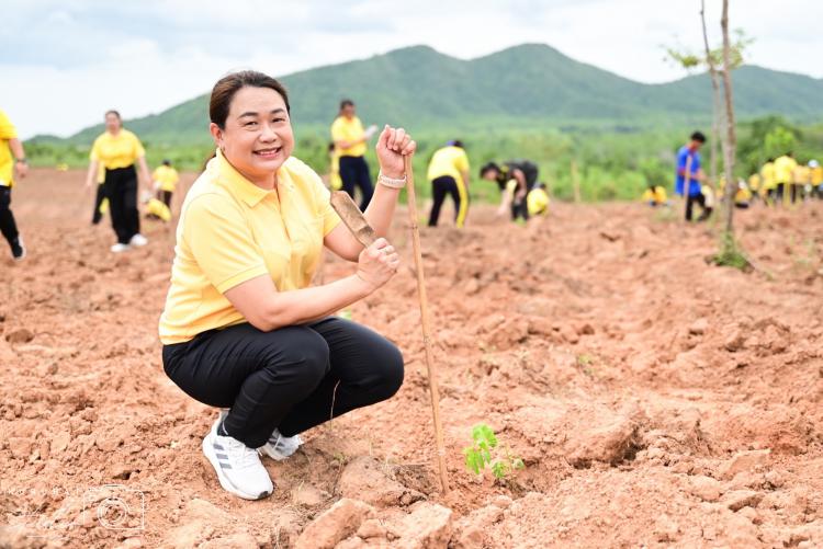  การเข้าร่วมกิจกรรมปลูกต้นไม้เฉลิมพระเกียรติพระบาทสมเด็จพระเจ้าอยู่หัว เนื่องในโอกาสมหามงคลเฉลิมพระชนมพรรษา 6 รอบ 