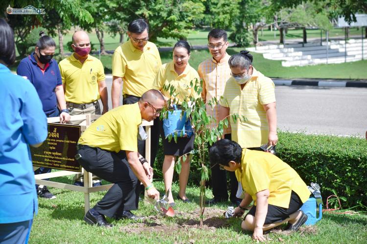 CSR ประชารัฐ โครงการรณรงค์ปลูกต้นไม้เฉลิมพระเกียรติ
